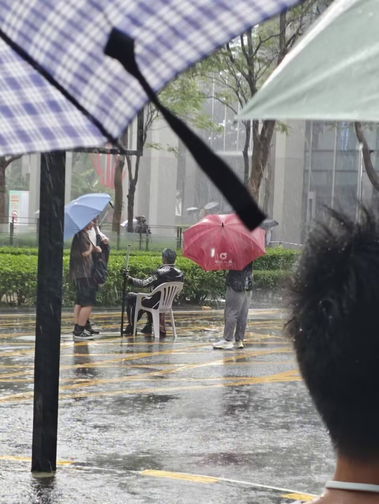 一阵强劲的音乐响起（