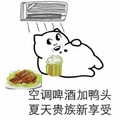好想有个空调啊