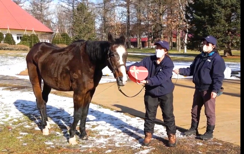 和士大夫过生日的太后