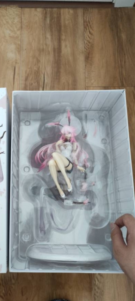 嘤嘤嘤到家啦！