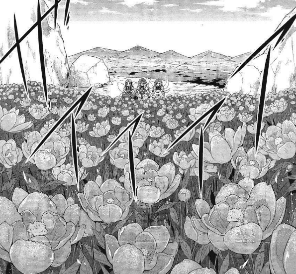 芍药花田