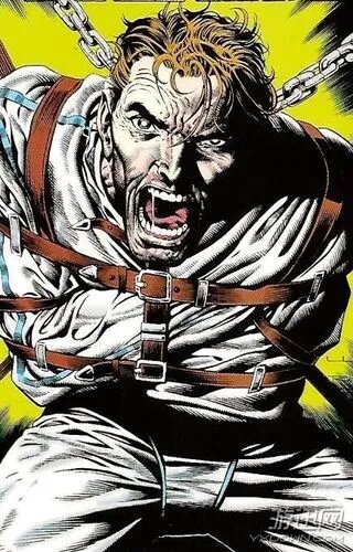 除虫专家(类图)