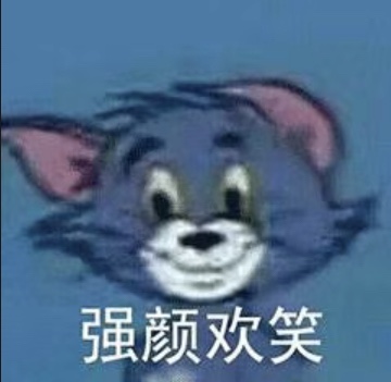 猫鼠队