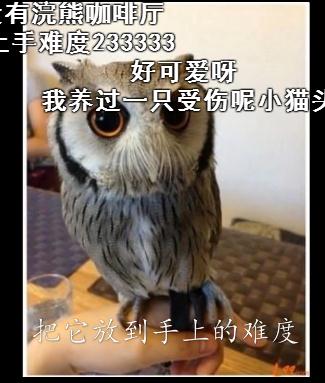 上手难度