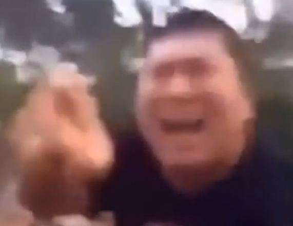 看图写话