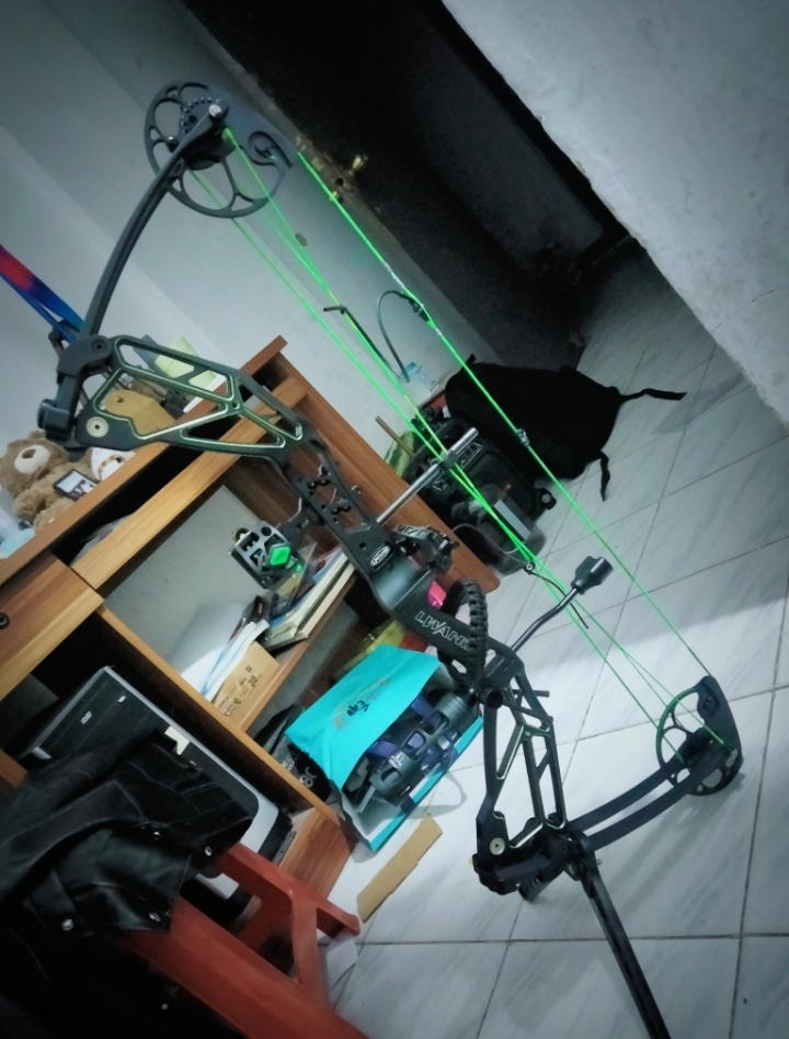 作者自己的盘古