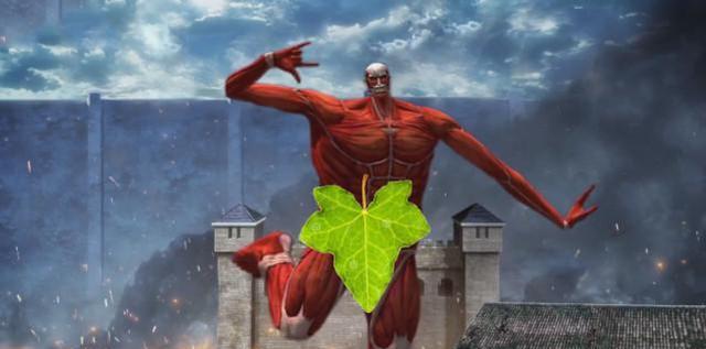 给大家看看美图