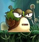 苔藓蜗牛