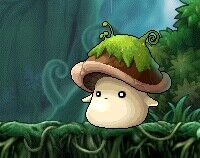 苔藓蘑菇