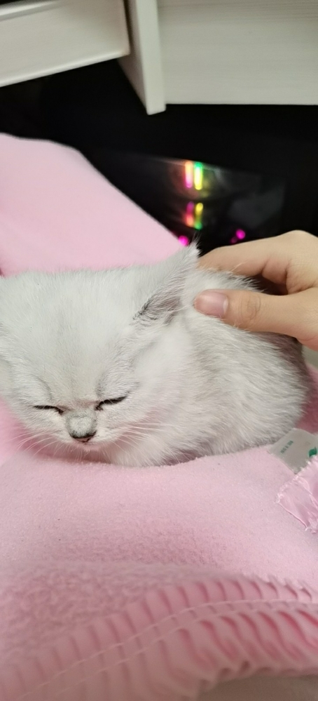 我觉得你们都该看看
