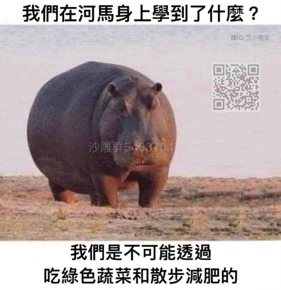 沙雕图