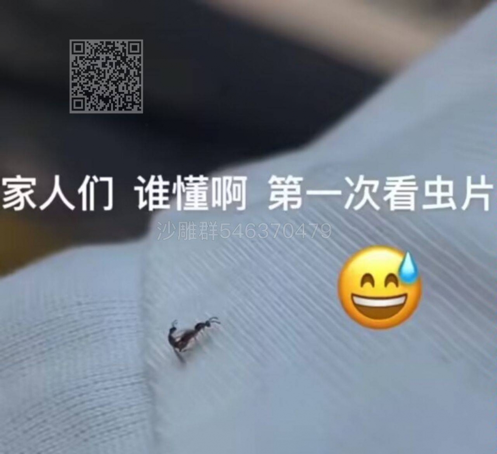 沙雕图