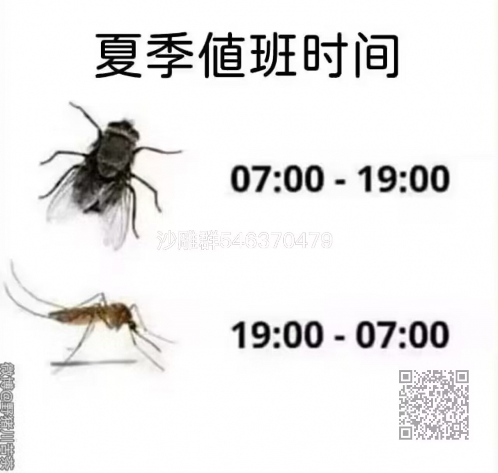 沙雕图