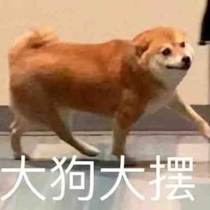 大狗大摆