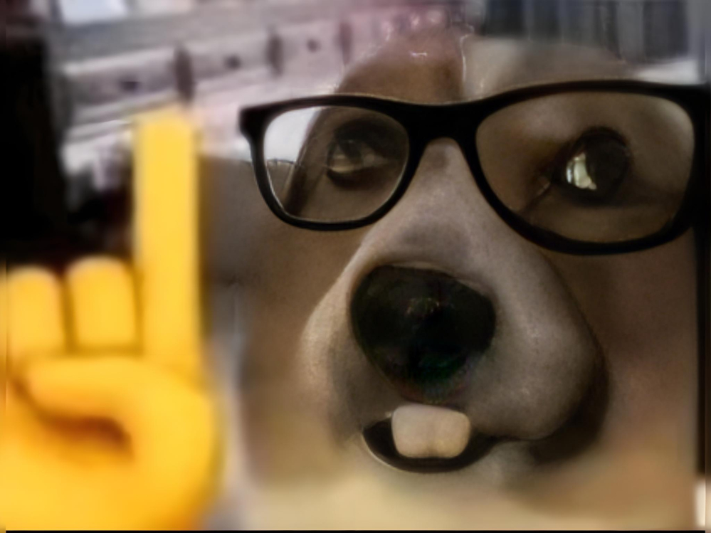 我有一个新点子