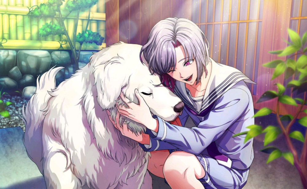 男邦合体ykn+祥子