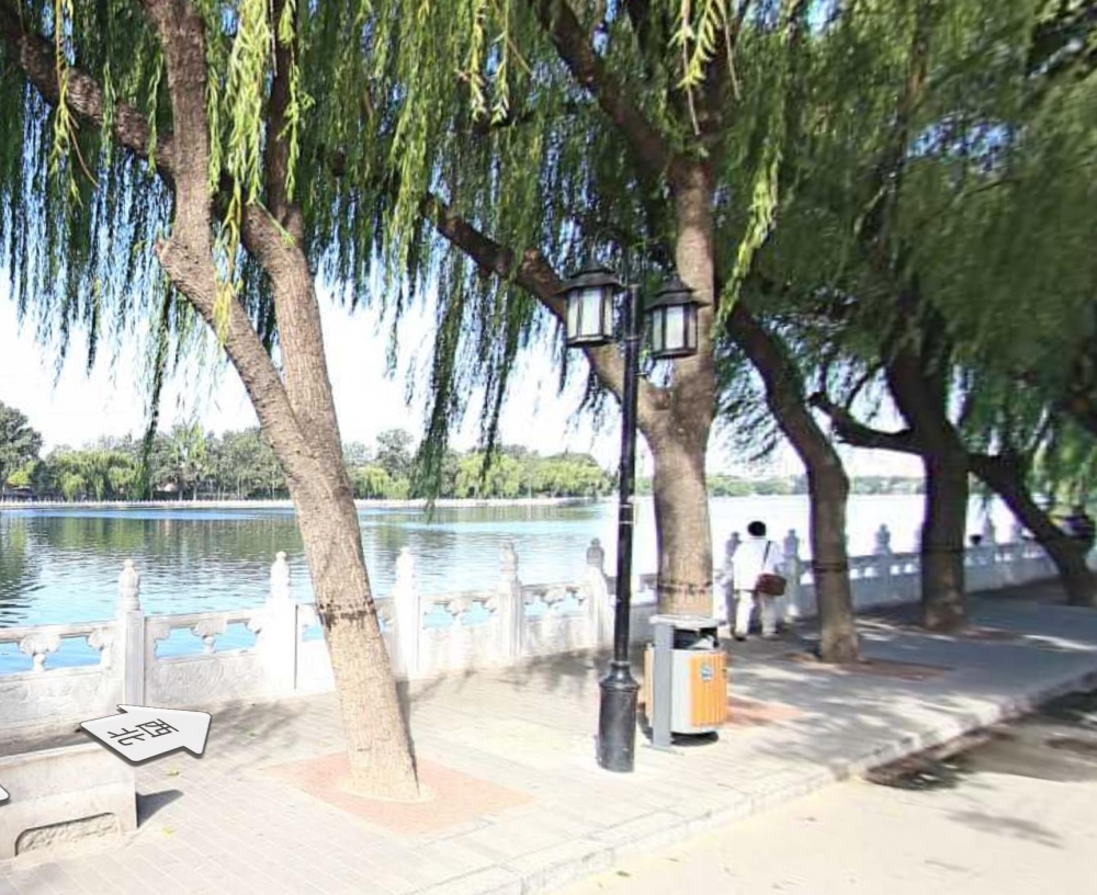 这其中的某棵树