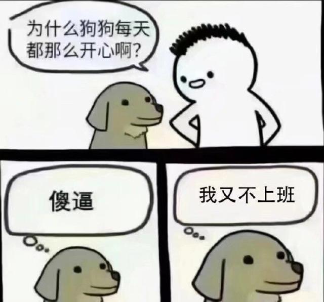 为什么狗狗每天都开心
