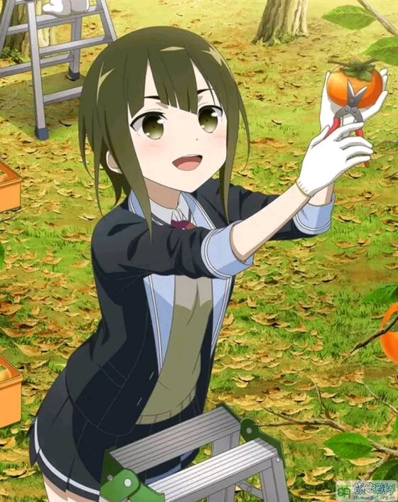 白鸟歌野
