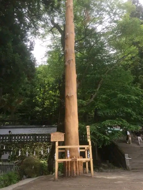 御柱,其实就是树干