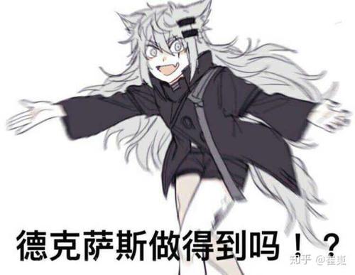 德克萨斯做得到吗？！