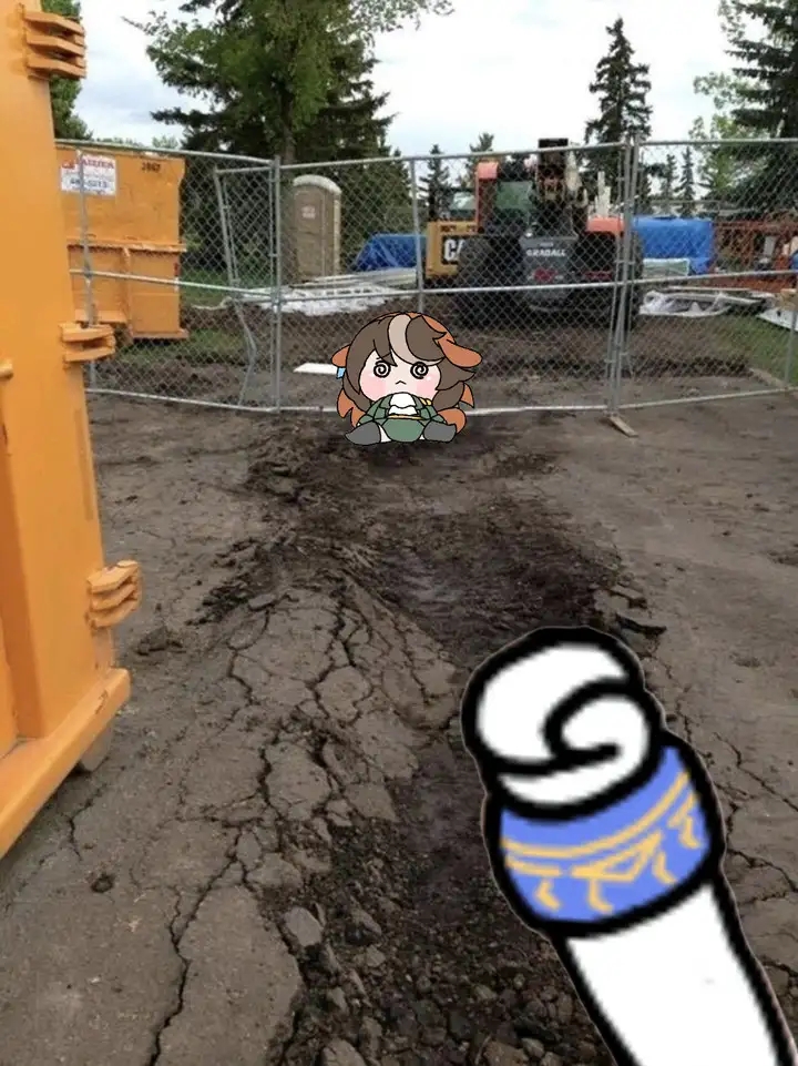 忍不了，和卤豆腐爆了