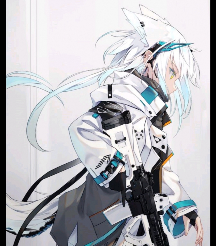 百叶.(仅供参考.)