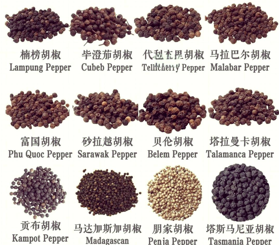 胡椒种类大概图