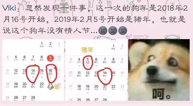 狗粮？不存在的