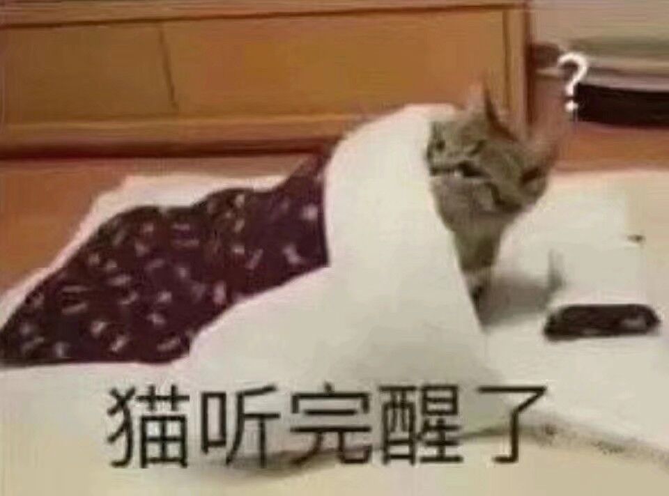 我会选一些可爱猫猫