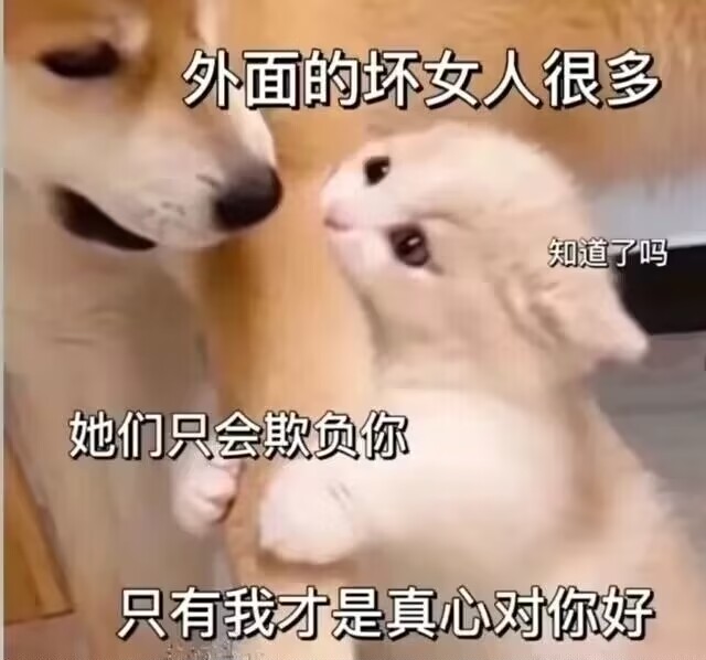 怎么不是一种……