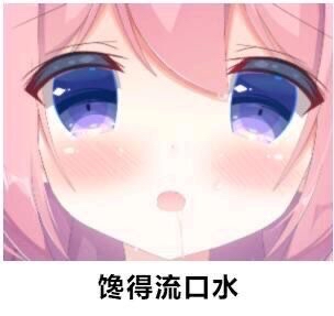 每日求票