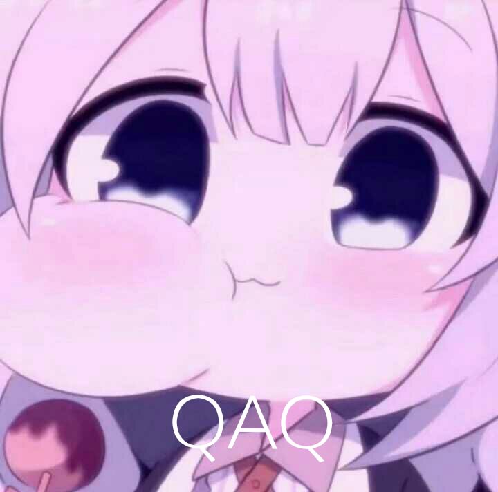 每日求票