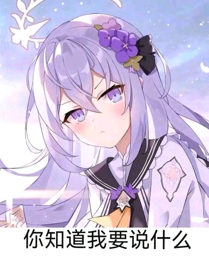 每日求票