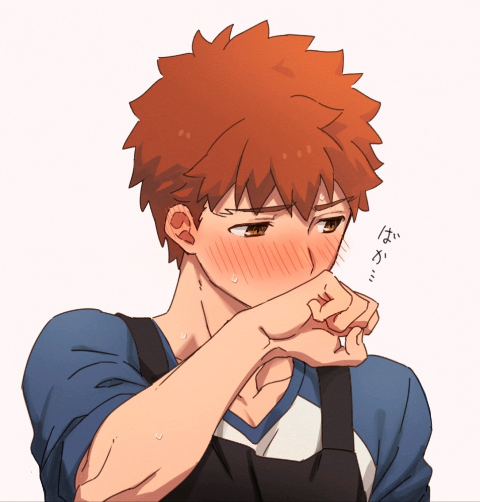 害羞的卫宫同学