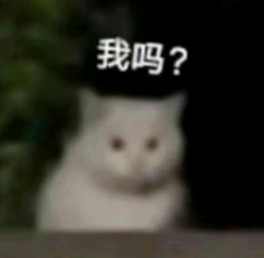 风中凌乱的宝宝