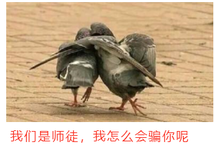 你白鸽鸽会骗你吗