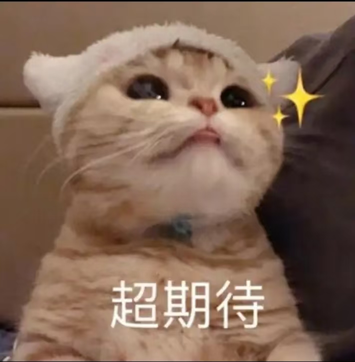 猫猫
