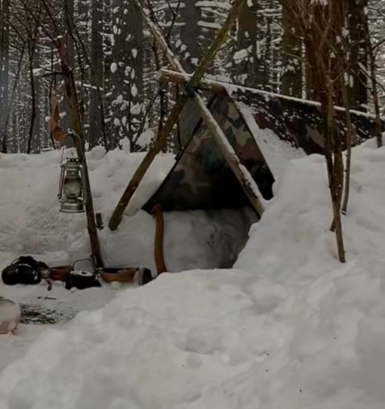 差铺满树叶，深入地底