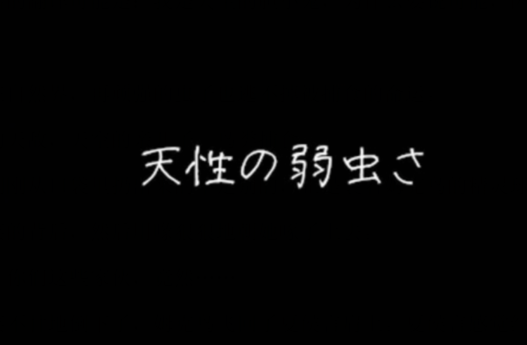 歌词