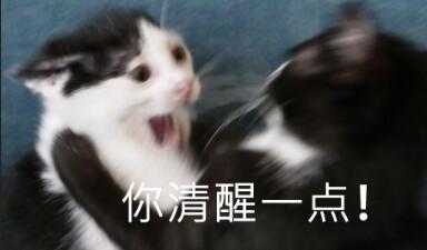 你清醒一点！