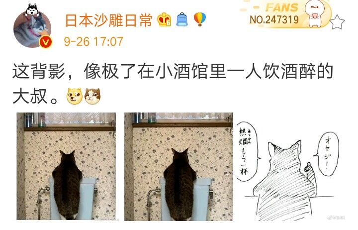 猫猫人又多了一个