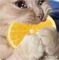 酸的要命（详情PS）