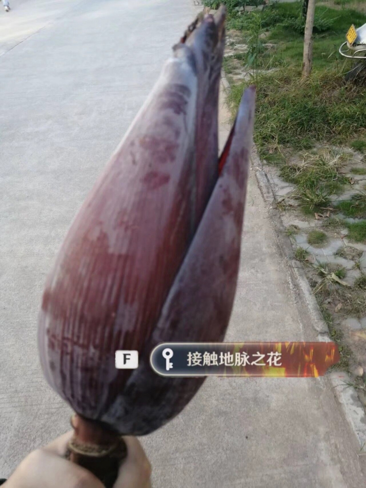 不如刷花
