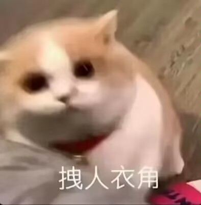 猫猫图