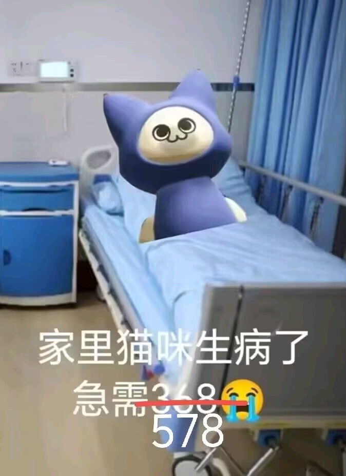 猫猫