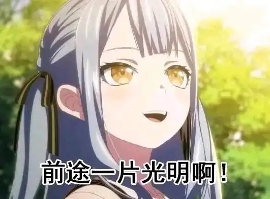 前途一片光明啊