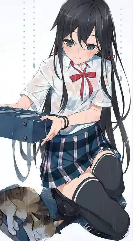 心仁：我讨厌猫