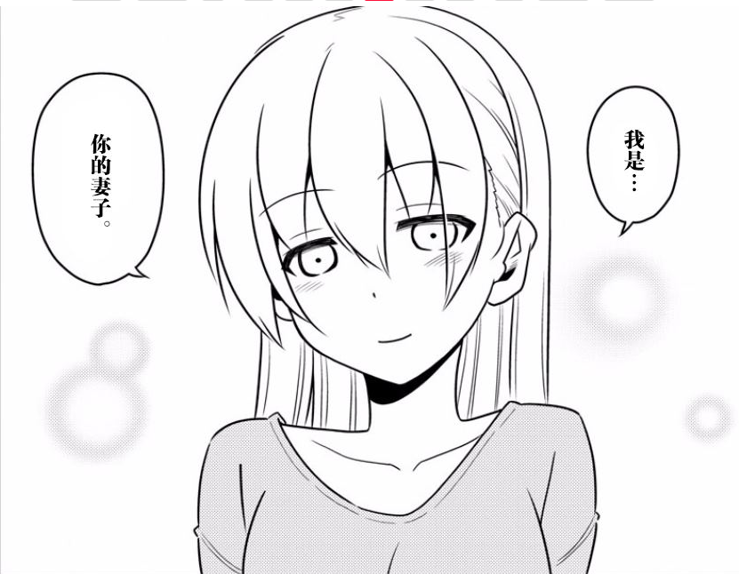 我是你的妻子