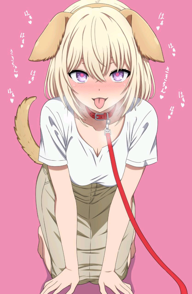 想养一只